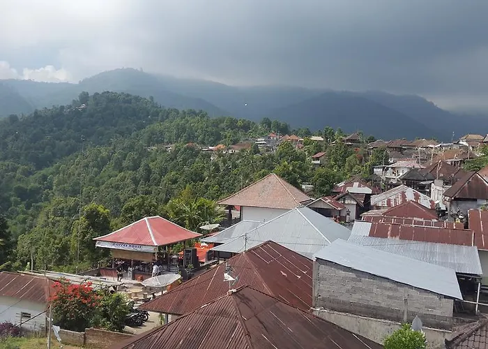 Meme Royak 3* Munduk (Bali)
